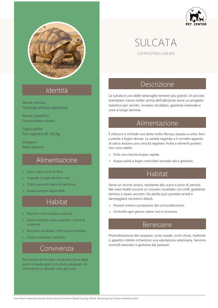 Anteprima della scheda di cura della tartaruga sulcata